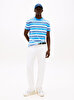 Erkek TJM Regular Flag Stripe T-shirt