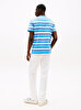 Erkek TJM Regular Flag Stripe T-shirt