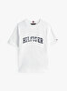 Erkek Çocuk TH Mixed Graphic T-shirt