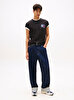 Erkek TJM Regular Flag Dna T-shirt