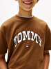 Erkek Çocuk Varsity Raised Print T-shirt