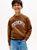 Erkek Çocuk Varsity Raised Print Sweatshirt