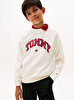 Erkek Çocuk Varsity Raised Print Sweatshirt
