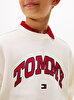 Erkek Çocuk Varsity Raised Print Sweatshirt
