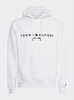 Erkek Tommy Logo Hoodie