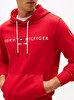 Erkek Tommy Logo Hoodie