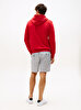 Erkek Tommy Logo Hoodie