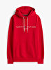 Erkek Tommy Logo Hoodie