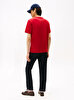 Erkek Essential V-neck T-shirt