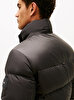 Erkek Mix down Hooded Puffer Mont