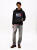 Erkek TJM Regular Flag Hoodie