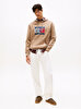 Erkek TJM Regular Flag Hoodie