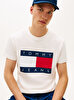 Erkek TJM Regular Big Flag T-shirt