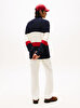 Erkek Ri Chest Stripe Kazak