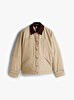 Kadın TJW Cord Collar Mont