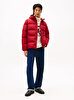 Erkek Down Hooded Puffer Mont
