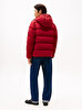 Erkek Down Hooded Puffer Mont