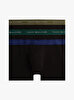 Erkek 3'lü Paket Metallic Trunk Boxer