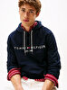 Erkek Tommy Logo Hoodie