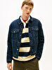 Erkek Ryan Regular Teddy Trucker Denim Ceket