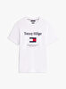 Erkek Tommy Embro Flag T-shirt