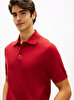 Erkek DC Cotton Liyosel Polo T-shirt