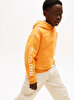 Erkek Çocuk Wavy Flag Hoodie
