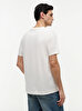 Erkek Rwb Box Flag Regular T-shirt