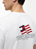Erkek Americana Back Graphic T-shirt