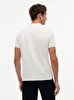 Erkek Graphic Regular Polo T-shirt