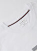Erkek Flag Regular T-shirt