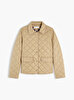 Kadın Padded Slim Quilted Puffer Mont