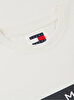 Erkek TJM Regular Big Flag T-shirt