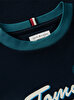Erkek Çocuk Tommy Crest T-shirt