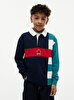 Erkek Çocuk Crest Colorblock Polo T-shirt