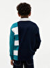 Erkek Çocuk Crest Colorblock Polo T-shirt