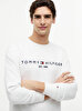 Erkek Tommy Logo Sweatshirt