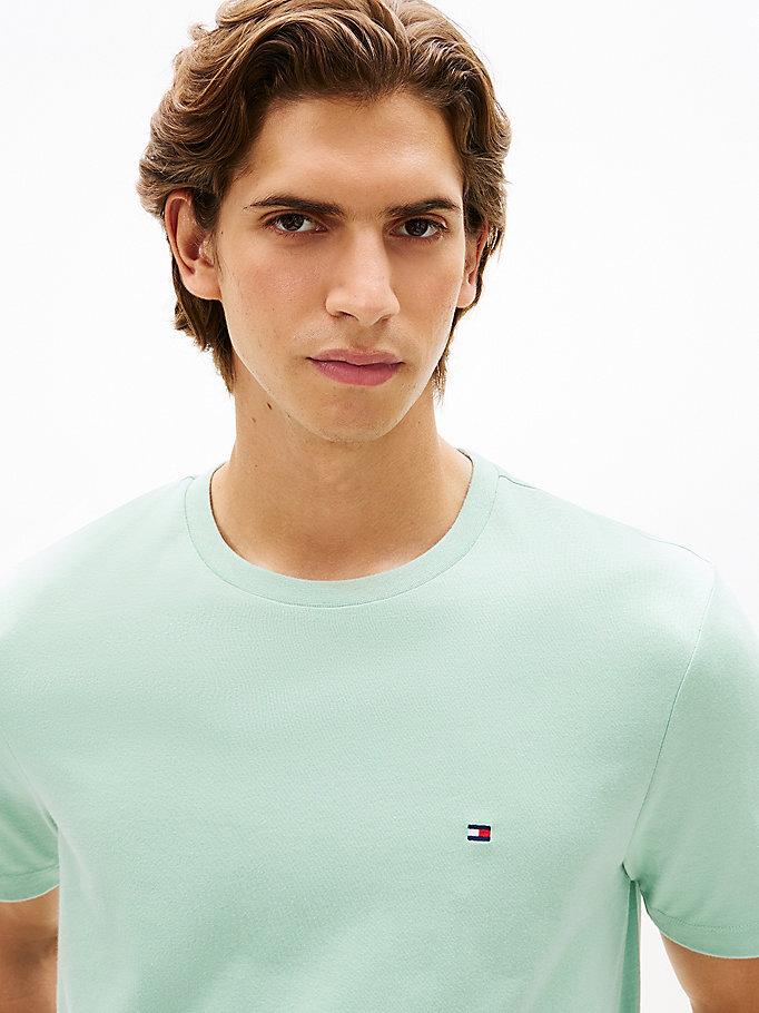 Erkek Essential Seasonal Regular Fit T-shirt Yeşil MW0MW39995MAI