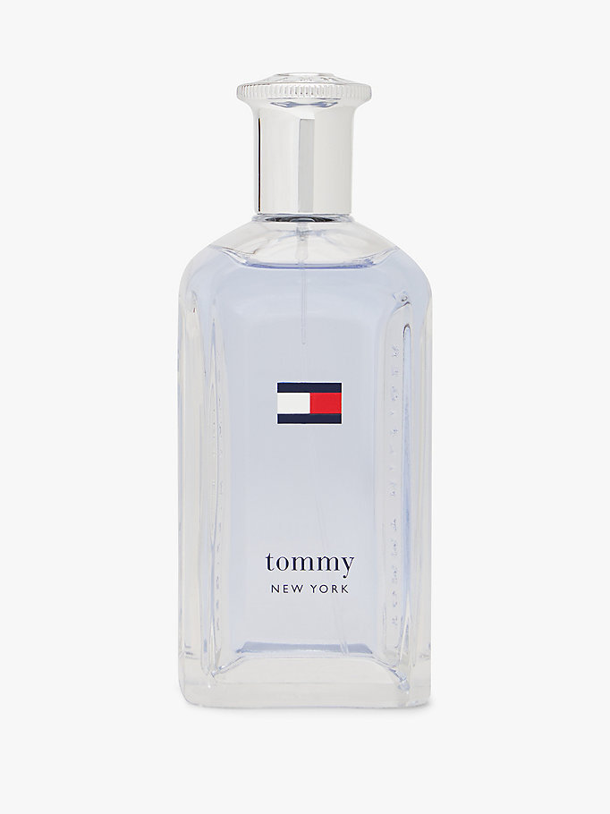 Erkek TH Tommy New York Edt 100 Ml Çok renkli GBB5271420MUL